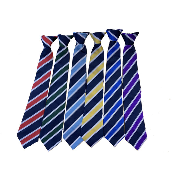 CWLC Clip On House Tie Thumbnail